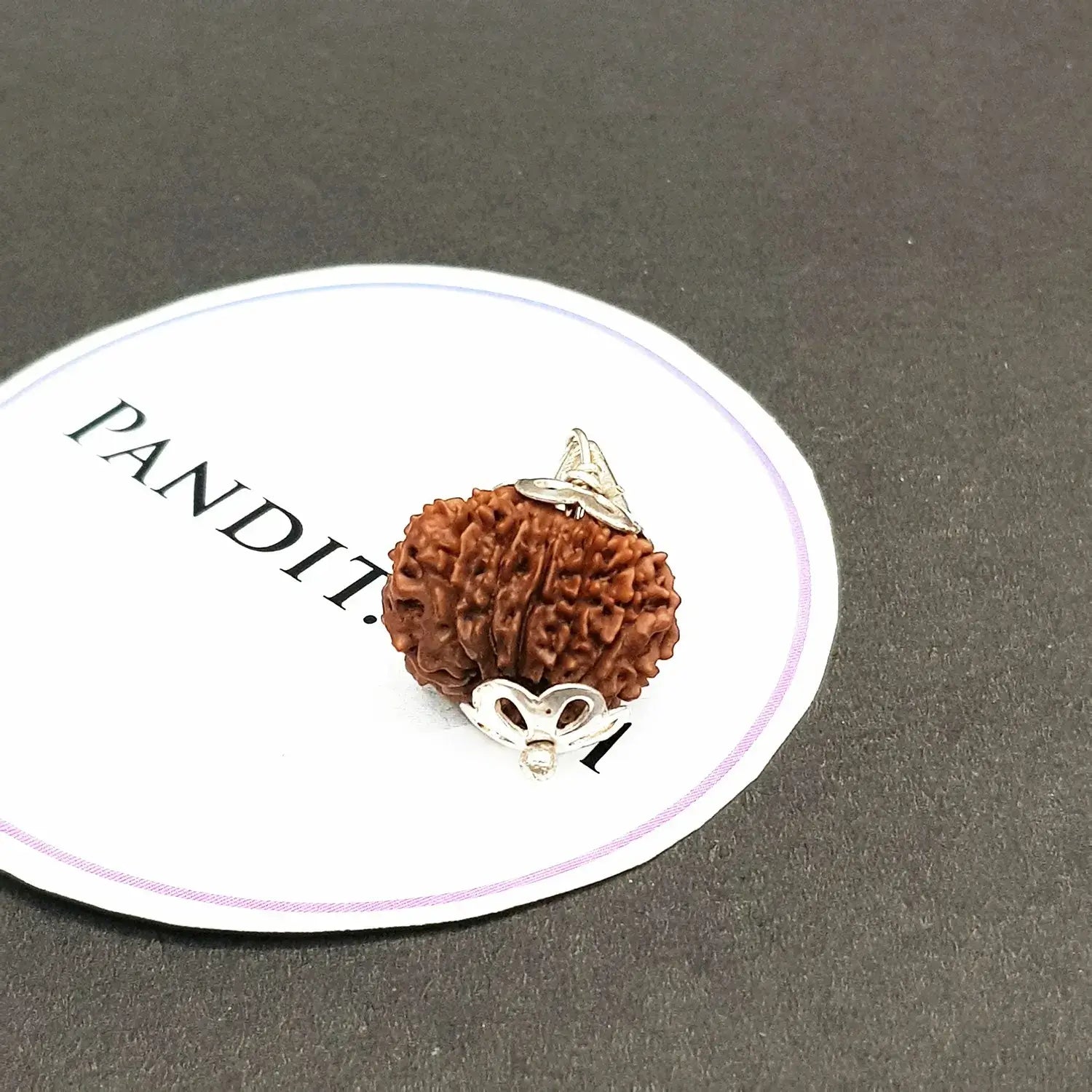 13 Faced Nepal Rudraksha