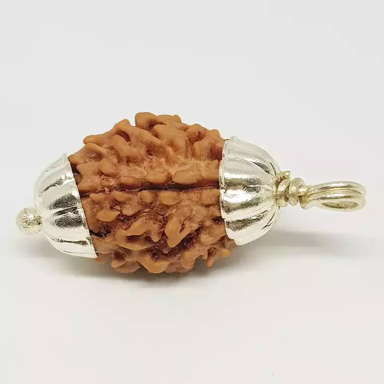 3 Faced Rudraksha — packaging back showing wearing instructions