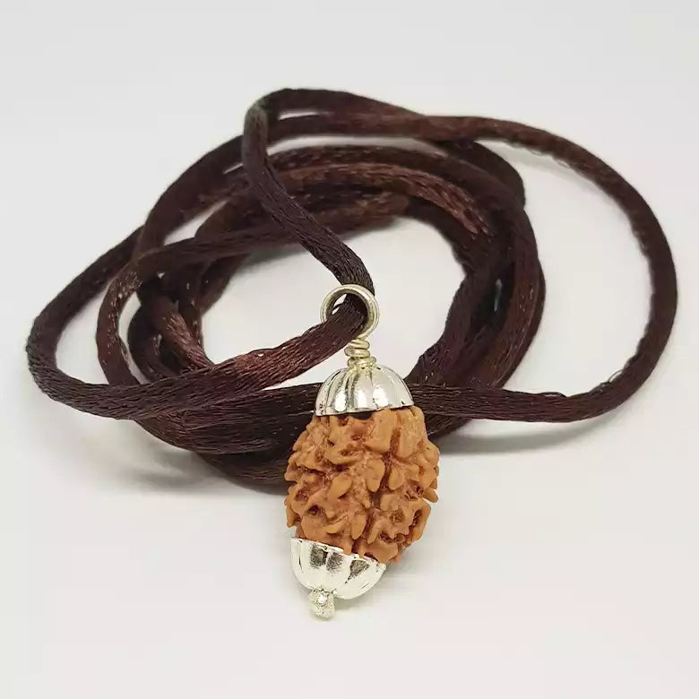 3 Faced Rudraksha — main bead view showing mukhi (faces)