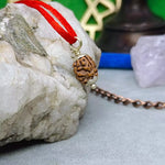 3 Mukhi Rudraksha – Indonesia