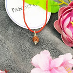 3 Mukhi Rudraksha Indonesia