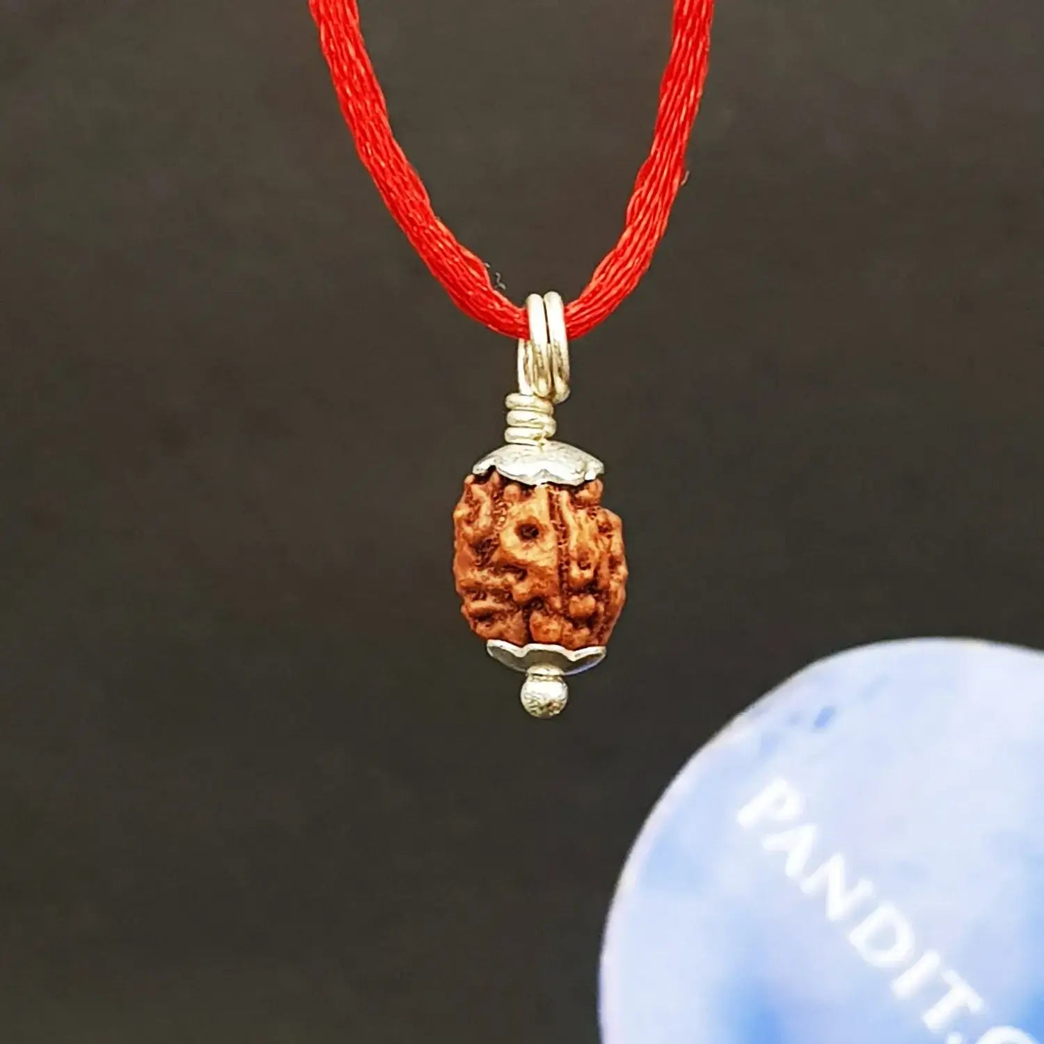 3 Mukhi Rudraksha Indonesia