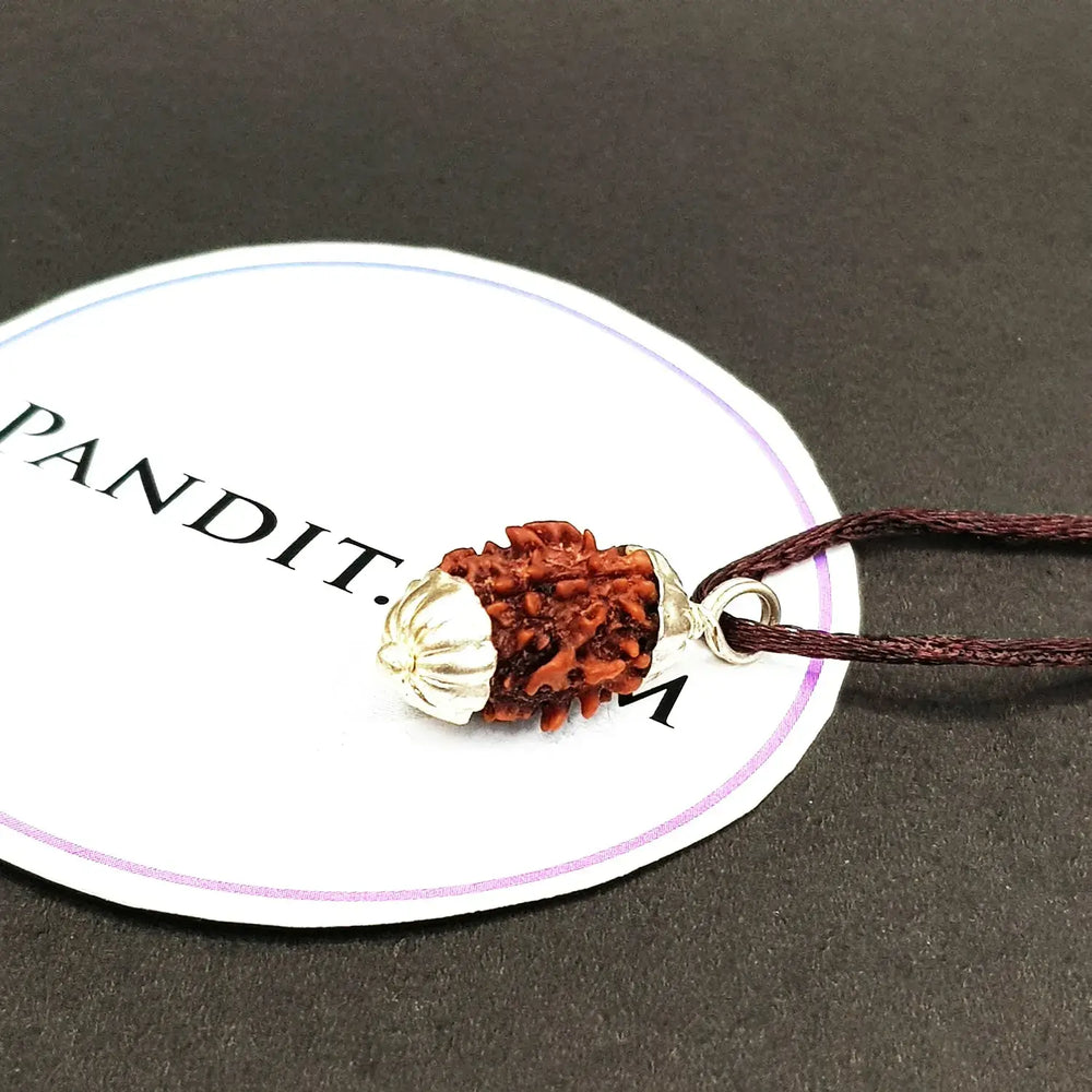 3 Mukhi Nepal Rudraksha