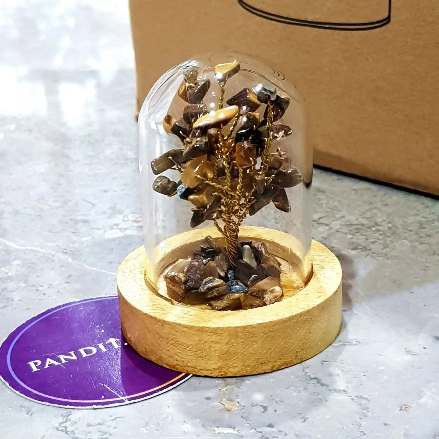 Tiger Eye Tree With Glass Cover & Wooden Base — close-up of facial features and detail