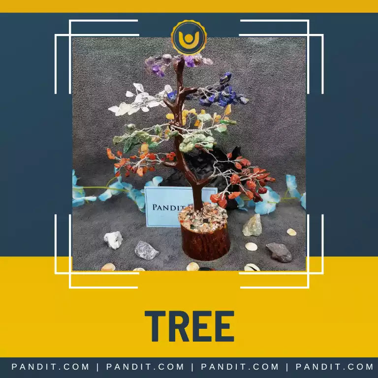 Tree Collections Page