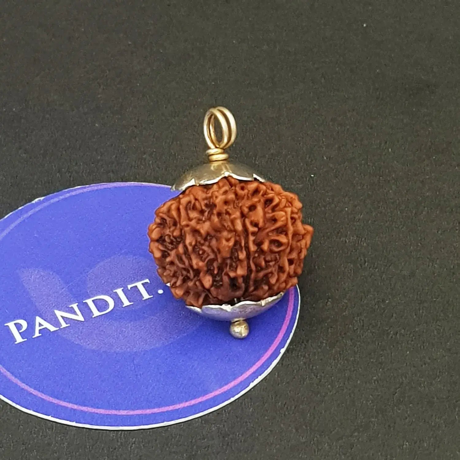 Twelve Mukhi Premium Rare Rudraksha — bead size reference