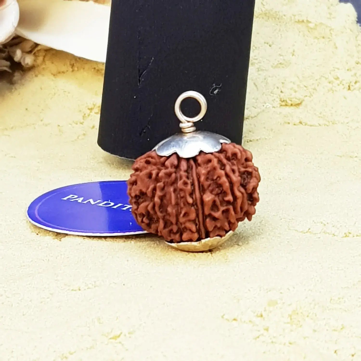 Twelve Mukhi Premium Rare Rudraksha — close-up macro showing surface texture and natural lines