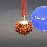 Twelve Mukhi Premium Rare Rudraksha — authenticity certificate and lab report
