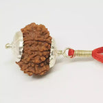 12 Faced Rudraksha — main bead view showing mukhi (faces)