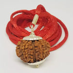 12 Faced Rudraksha — authenticity certificate and lab report