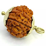 Twelve Mukhi Premium Rare Rudraksha — bead worn on red thread