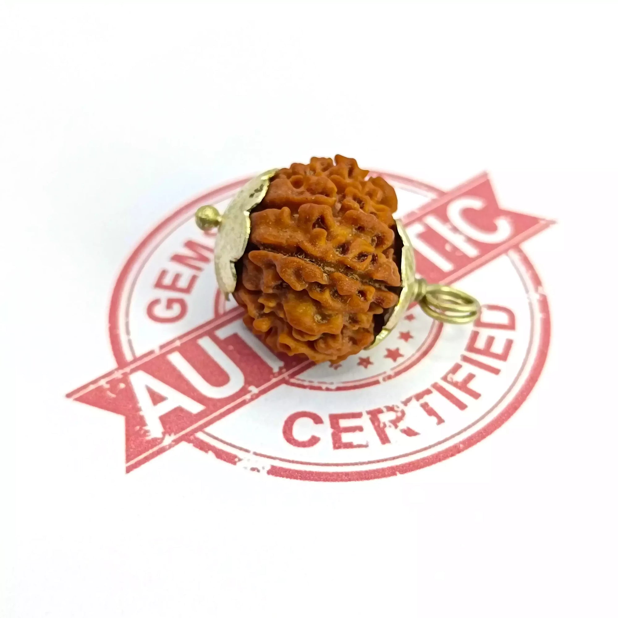 Twelve Mukhi Premium Rare Rudraksha — packaging back showing wearing instructions
