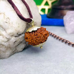 Twelve Mukhi Premium Rare Rudraksha — main bead view showing mukhi (faces)