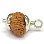 23 Mukhi Rudraksha — main bead view showing mukhi (faces)