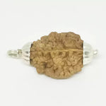 2 Faced Rudraksha — bead worn on red thread