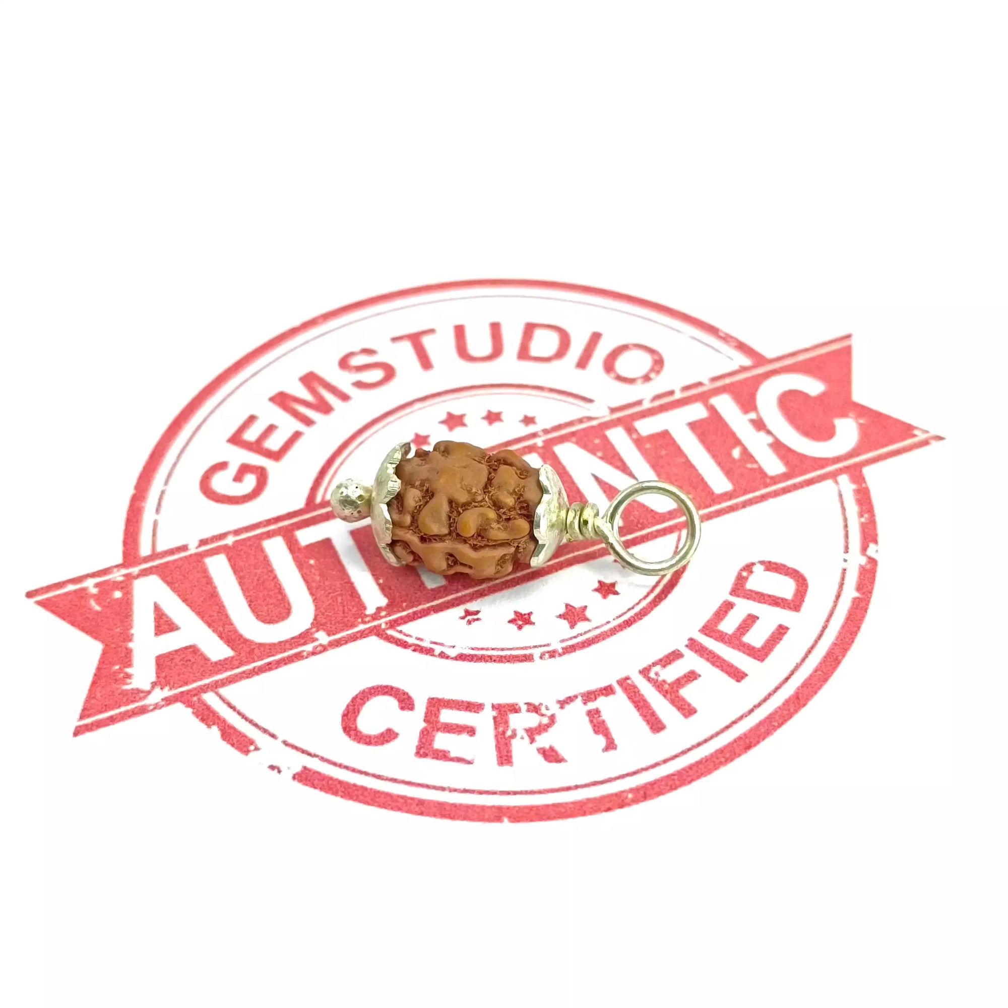 Two Mukhi Premium Rare Rudraksha — main bead view showing mukhi (faces)