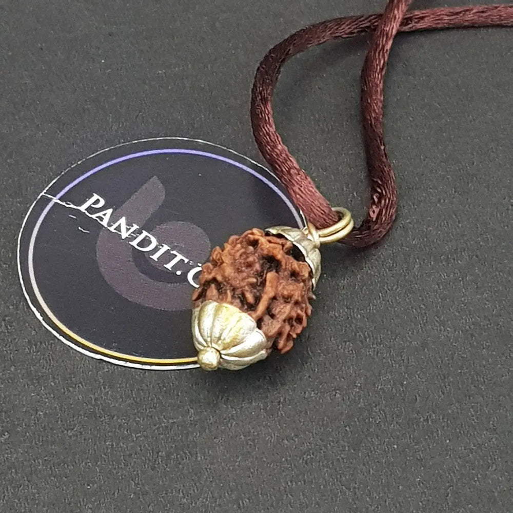 Two Mukhi Premium Rare Rudraksha