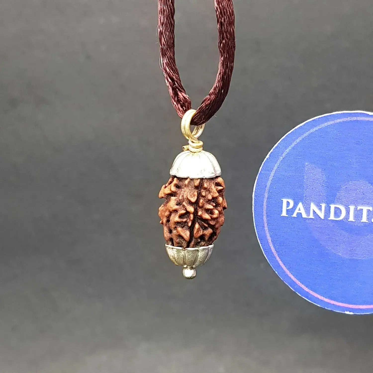 Two Mukhi Premium Rare Rudraksha — bead size reference