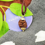 Two Mukhi Premium Rare Rudraksha