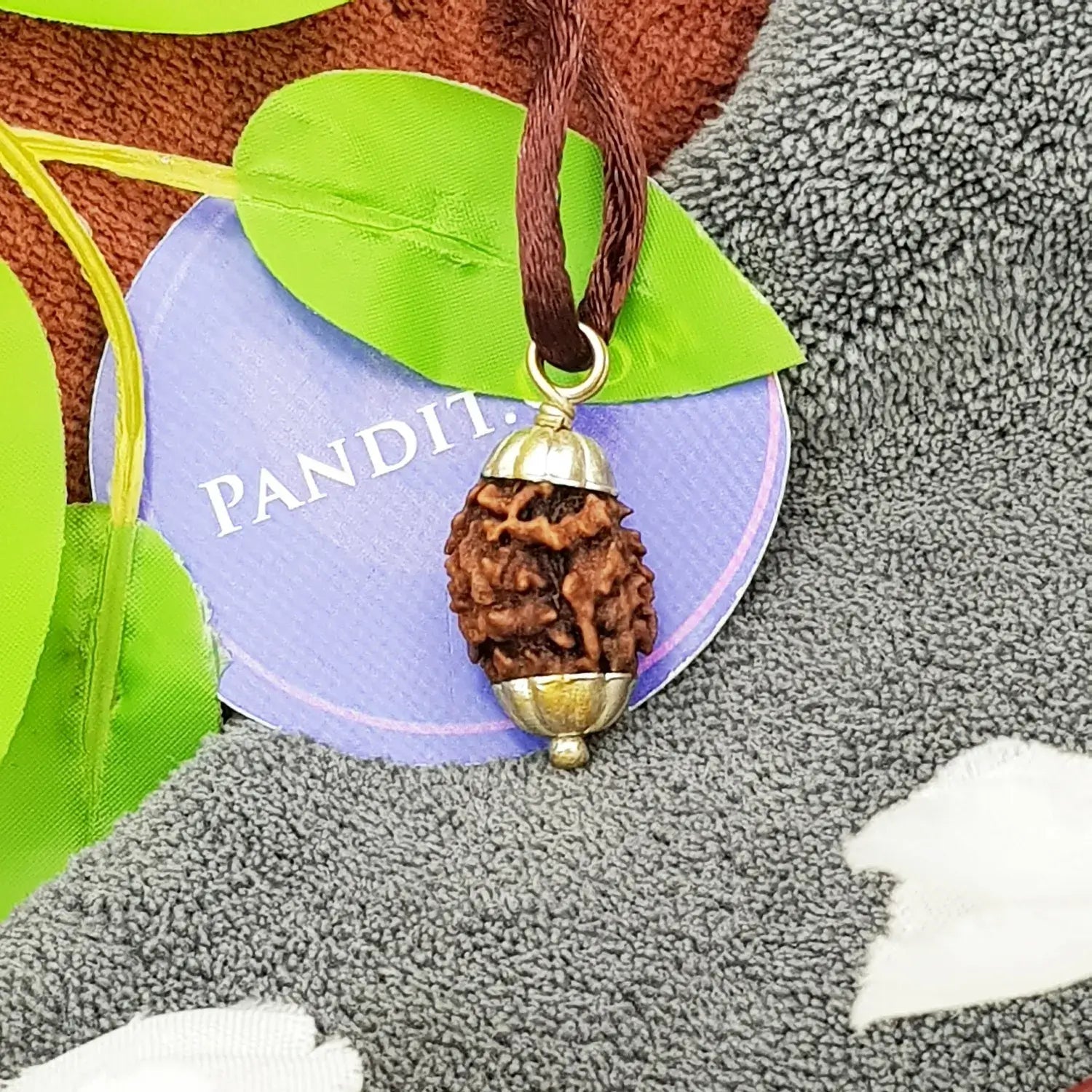 Two Mukhi Premium Rare Rudraksha — main bead view showing mukhi (faces)