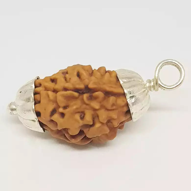 Two Mukhi Premium Rare Rudraksha — bead worn on red thread