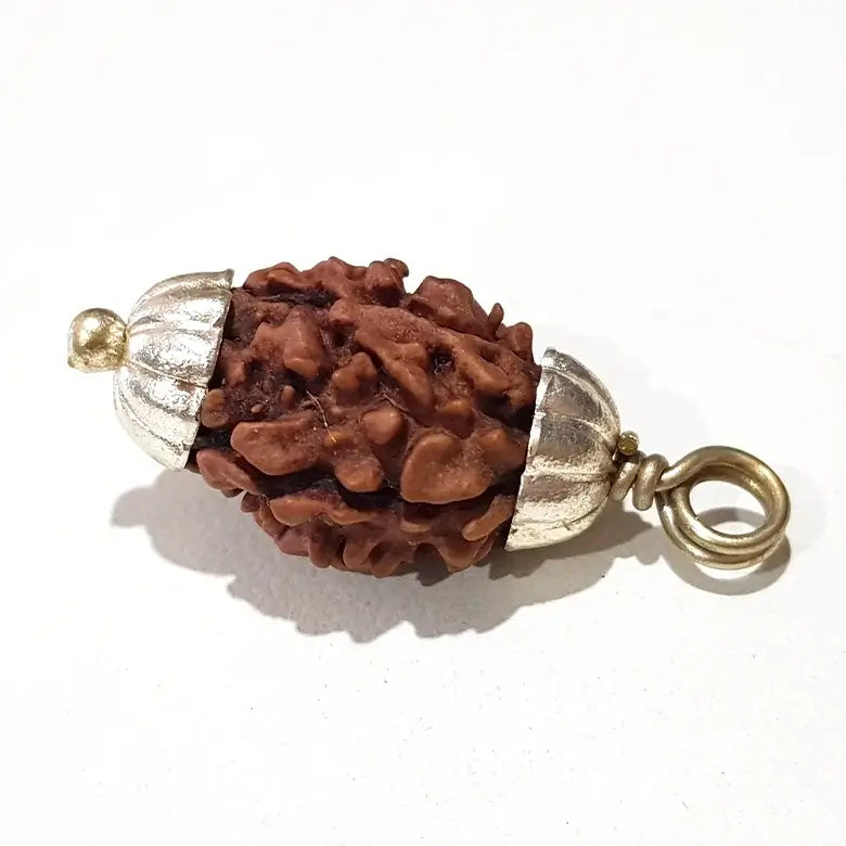 Two Mukhi Premium Rare Rudraksha — packaging back showing wearing instructions