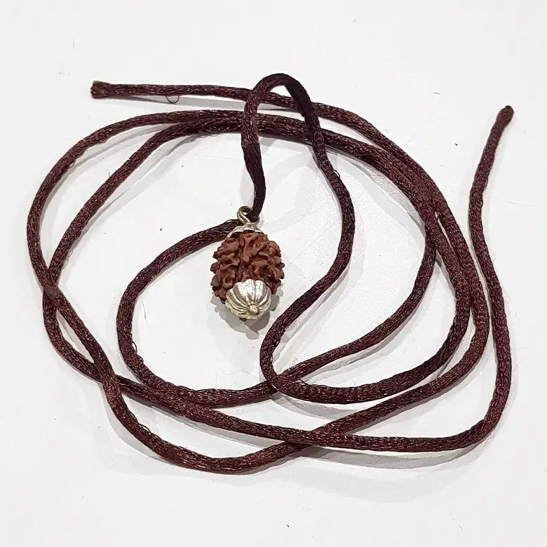 Two Mukhi Premium Rare Rudraksha — close-up macro showing surface texture and natural lines
