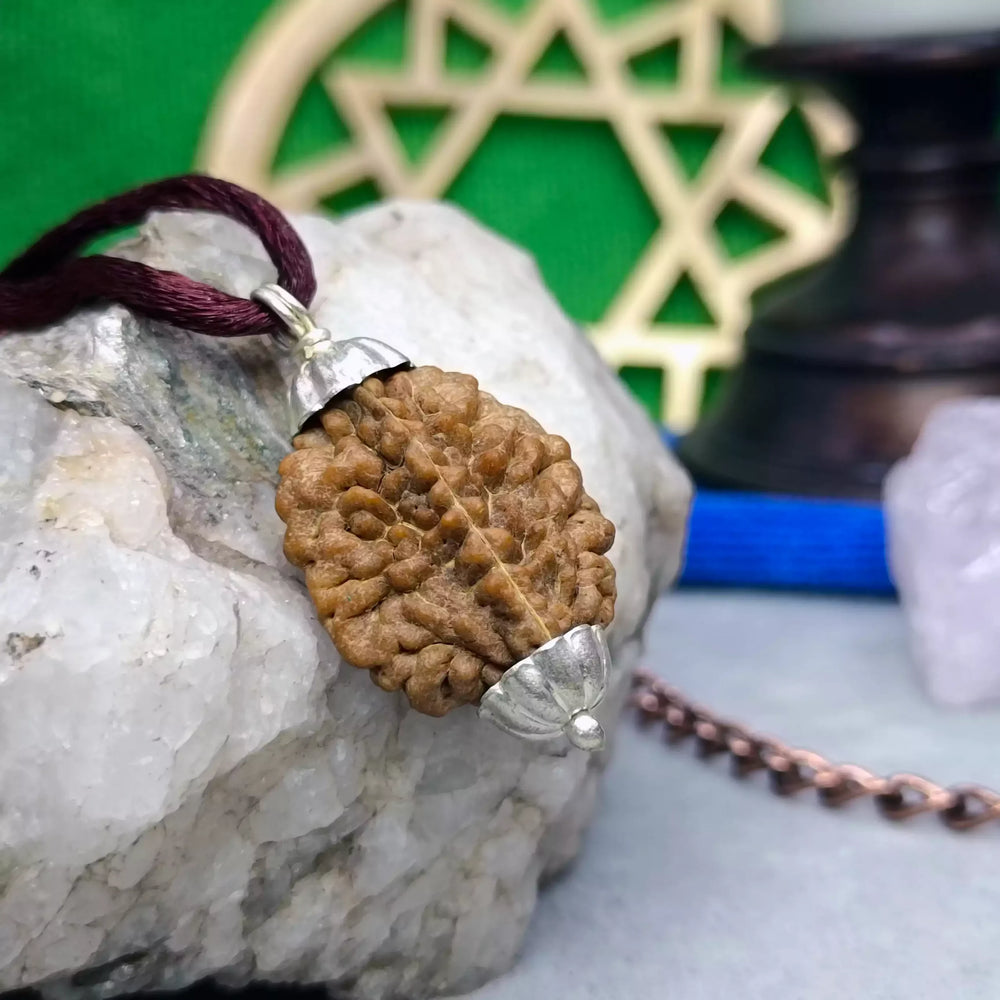 2 Faced Rudraksha – India | Relationship Bead - Pandit.com