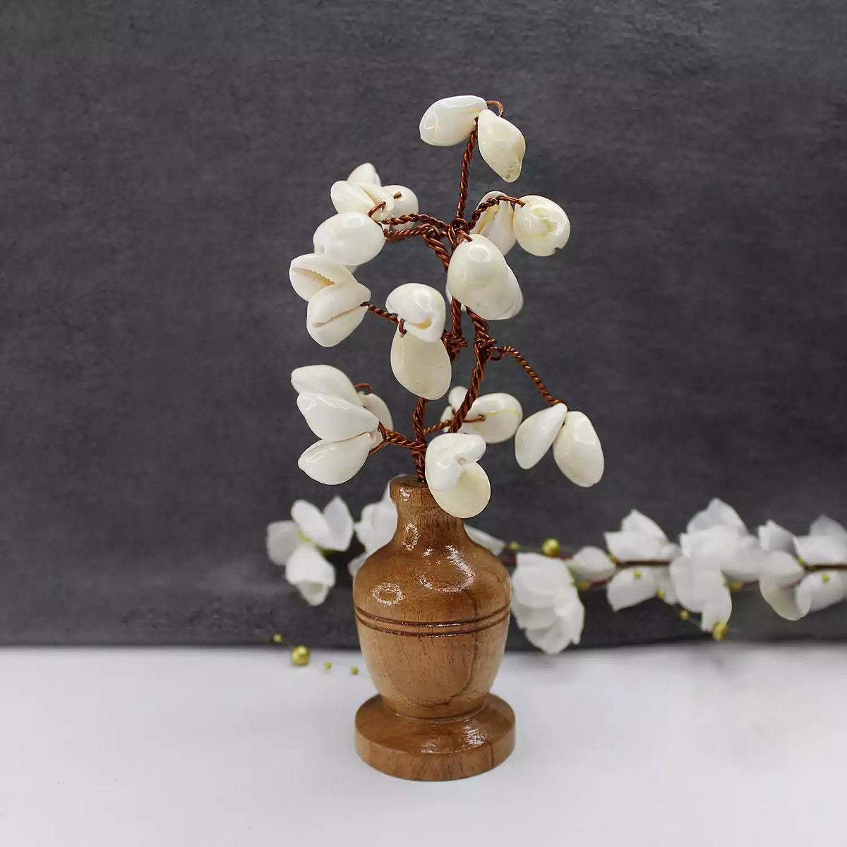 Kadoad Tree White Kaudi Tree - For Financial Prosperity - Pandit.com