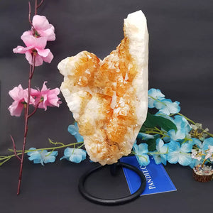 Yellow Citrine Cluster Geode
