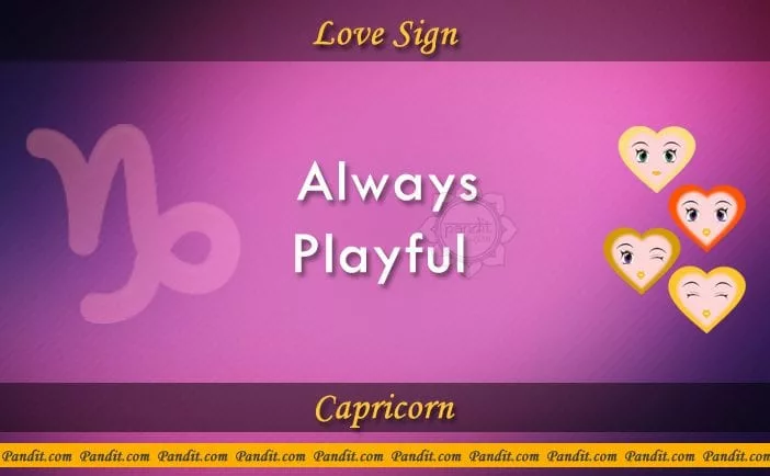 Capricorn Love Sign Compatibility