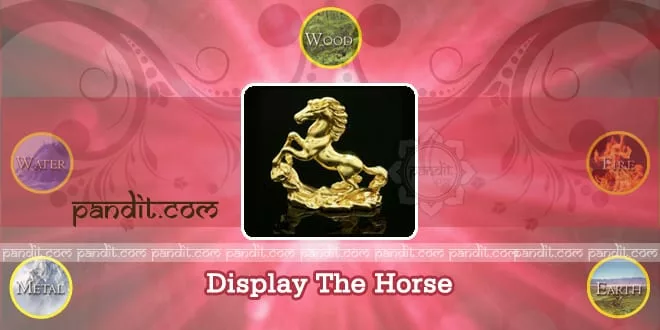 Display The Horse