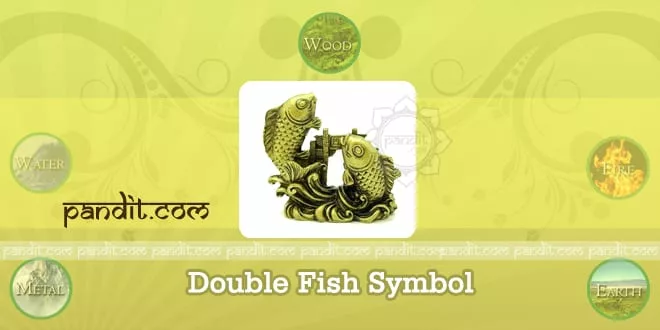 Double Fish Symbol