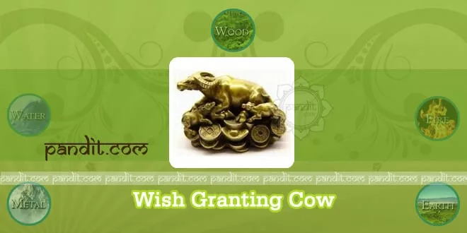 Wish Granting Cow