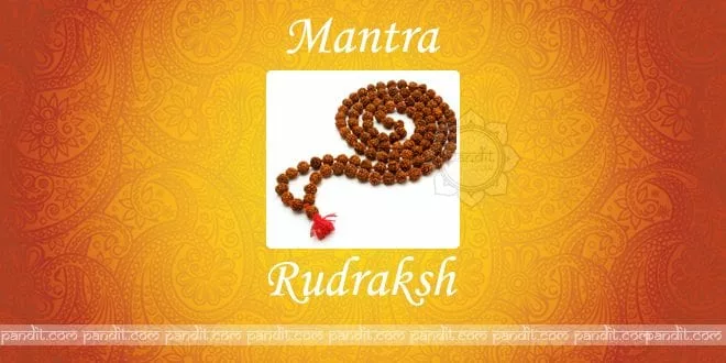 What are Rudraksh Mantras in hindi and english
