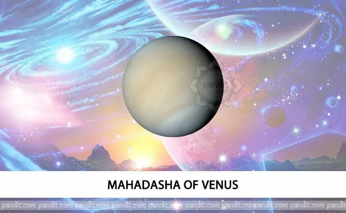 Mahadasha of Venus