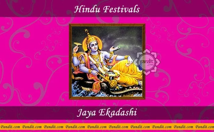 What is the procedure to celebrate Jaya Ekadashi