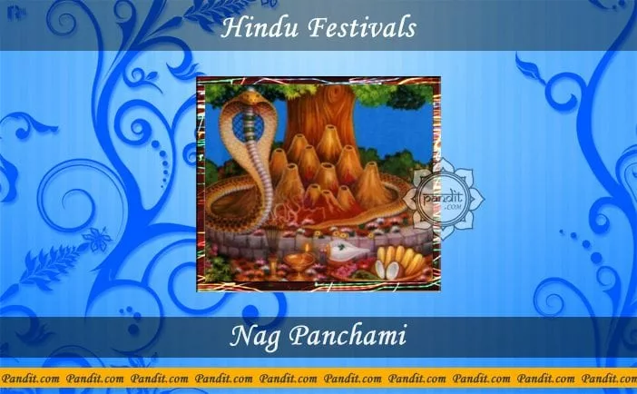 What is the procedure to celebrate Nag Panchami