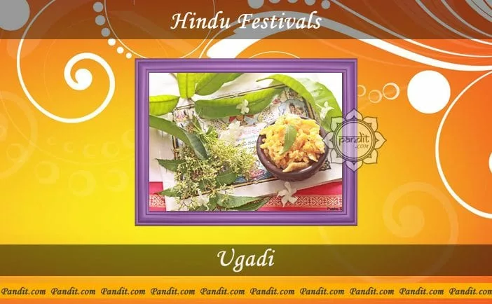What is the procedure to celebrate the auspicious festival Ugadi