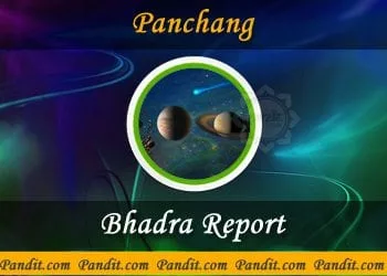 Bhadra Report