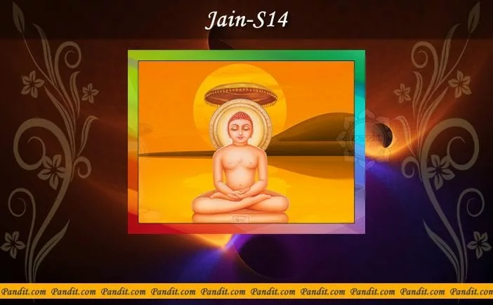 Jain S14
