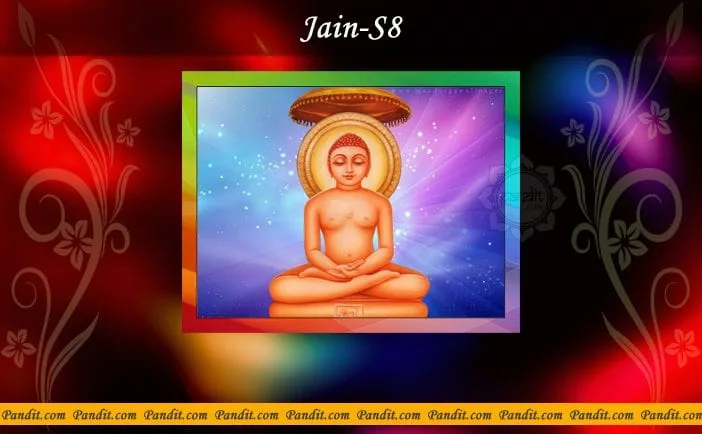 Jain S8