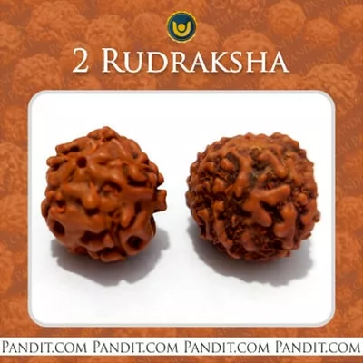 2 Rudraksha
