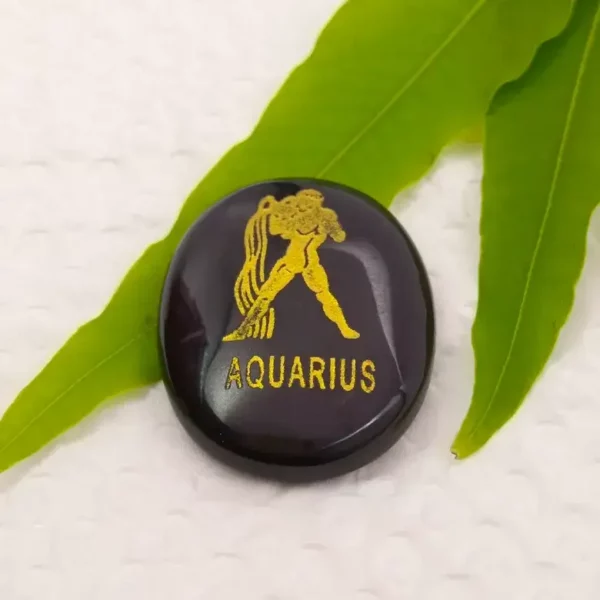 Aquarius Zodiac Sign Coin