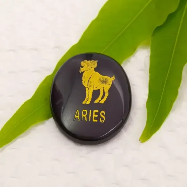 Aries Zodiac Sign Coin