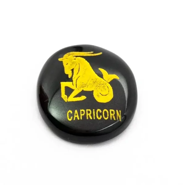 Capricorn Zodiac Sign Coin