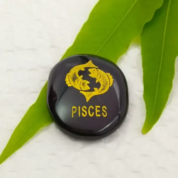 Pisces Zodiac Sign Coin