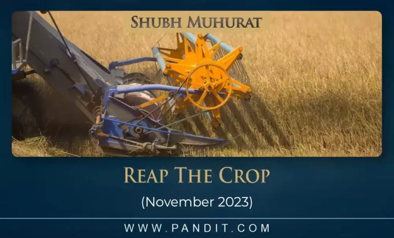 Shubh Muhurat For Reap The Crop November 2023