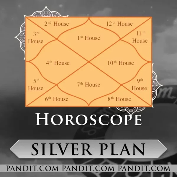 Horoscope Silver Plan