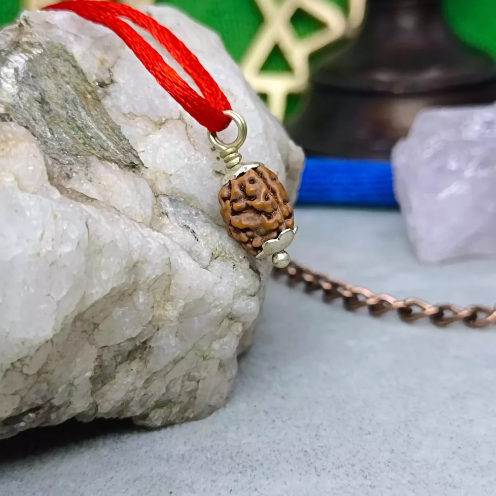 3 mukhi Mahajwala bracelet from Java with Red Sandalwood beads - Rudra  Centre
